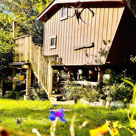La Cabane Perchee Du Trappeur Ecrainville Exterior photo