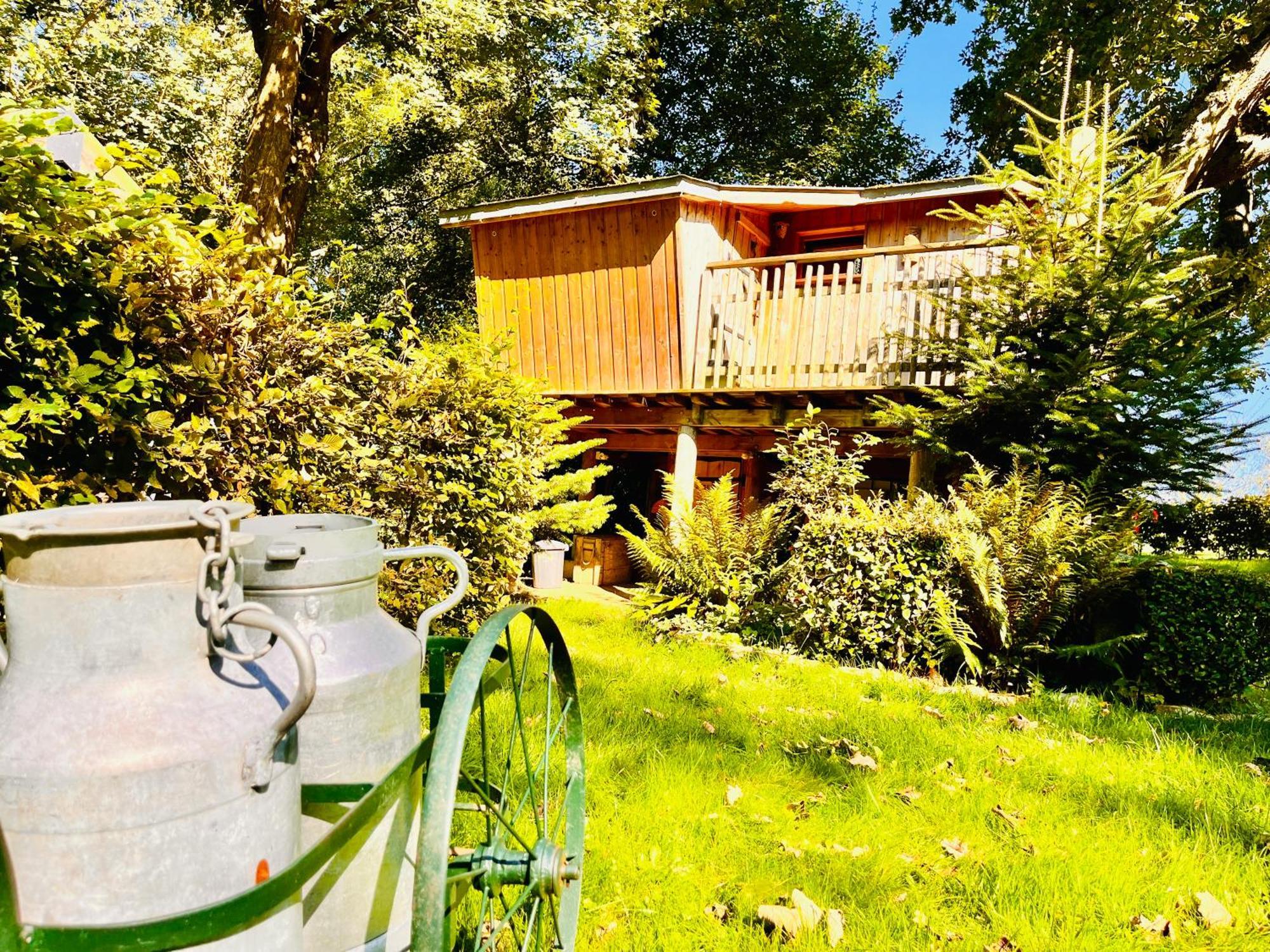 La Cabane Perchee Du Trappeur Ecrainville Exterior photo